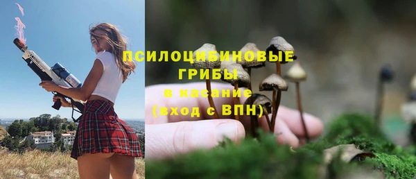 МДПВ Нефтекумск