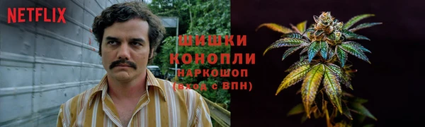 прущий лед Гусь-Хрустальный