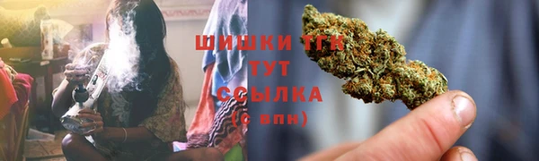 МДПВ Нефтегорск
