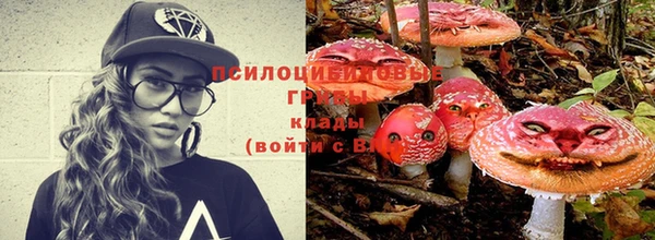 стаф Нея