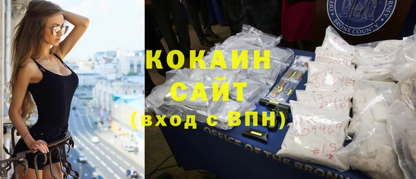 стаф Нея