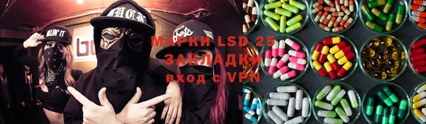стаф Нея
