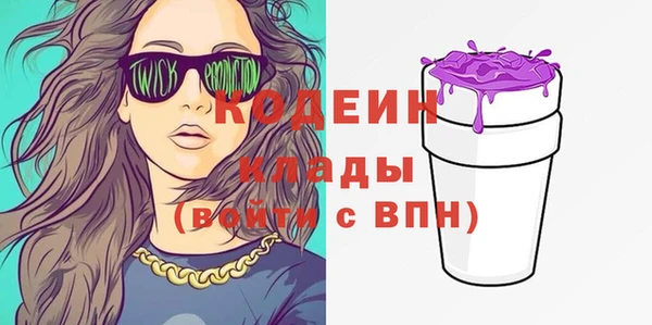 МДПВ Нефтегорск